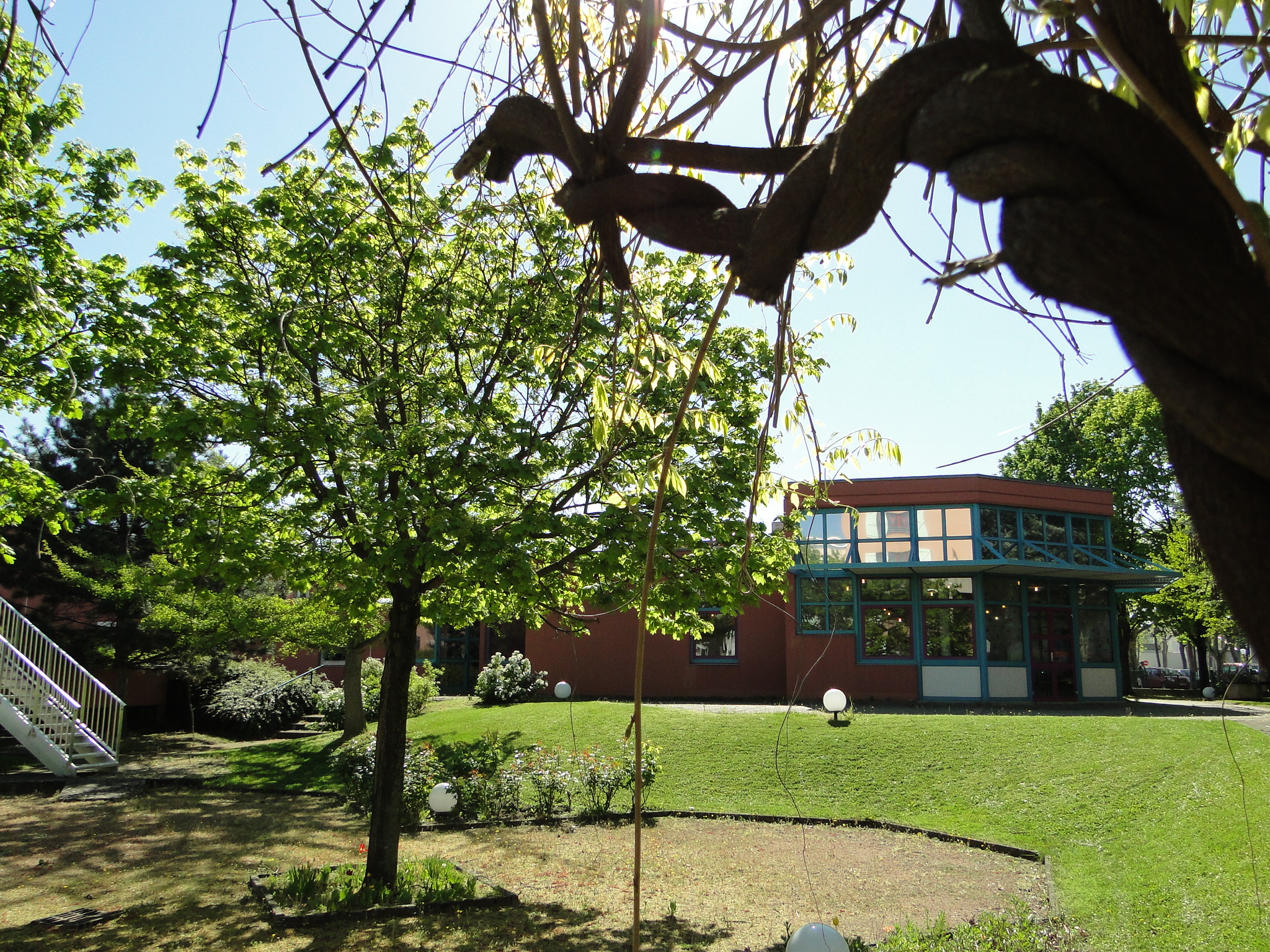 DSC07220 DSC07220